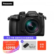 PLUS会员：Panasonic 松下 数码相机 微单套机（12-60mm、F2.8-4.0）
