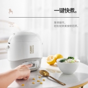 CHANGHONG 长虹 FB12-T35 电饭煲 1.2L