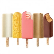 东北大板 21新品 5种网红口味冰淇淋组合 10支