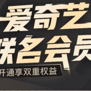爱奇艺星钻+京东Plus年卡