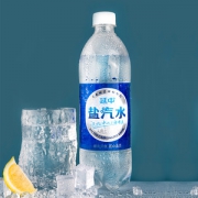上海老牌 延中 盐汽水 600ml*20瓶