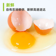 百亿补贴！DQY ECOLOGICAL 德青源 新鲜生鸡蛋 20枚