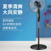Airmate 艾美特 五叶落地扇