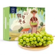 京觅 阳光玫瑰葡萄 1.5kg