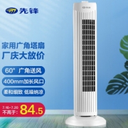 SINGFUN 先锋 DTS-G1 塔扇