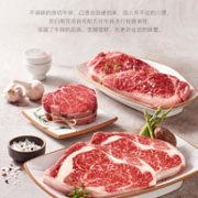 澳洲进口牛肉 顶诺 澳洲牛排家庭原肉整切套餐 1000g