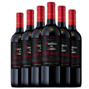 PLUS会员：Casillero del Diablo 红魔鬼 干红葡萄酒 黑金珍藏系列 750ml *6瓶