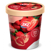 DQ 埃及草莓口味冰淇淋   400g