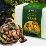 云南白药 出口级 云南野生鲜松茸礼盒 500g 6-8cm