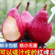 核小柔软无渣、可用吸管吸着吃！红啤梨 5斤