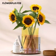 plus会员：FlowerPlus 花加 向日葵鲜花 5枝