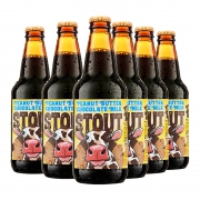 LOST COAST 迷失海岸 精酿巧克力味 355ml*6瓶