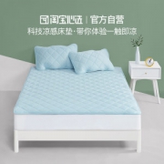 淘宝心选 纳米云母黑科技 凉感榻榻米床垫 1.5米