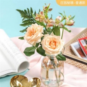 PLUS会员：花点时间 定制混合花束 庄园秘境 普通款