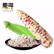 京东极速版：惠寻 湖北花玉米 2斤