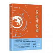 《龙的呼吸阀》