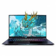MECHREVO 机械革命 蛟龙7X-97Q 17.3英寸游戏笔记本电脑（R9-5900HX、16GB、512GB、RTX3070、2K、165Hz、100%sRGB）