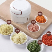 京东极速版：亿月 蒜泥器 手动 料理机 T精选