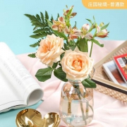 PLUS会员：REFLOWER 花点时间 定制混合花束 庄园秘境 普通款