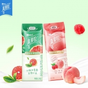 蒙牛 真果粒 红柚四季春/白桃树莓240g*12包整箱 （肖战同款）*3