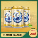 青岛啤酒 9度大白鲨啤酒 330*24听