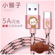 thinloo Type-C 5A闪充数据线 1米