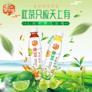 旺旺食技研 神萃茶 450mlx12瓶
