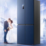 Ronshen 容声 晶钻系列 BCD-513WD17FP 字对开门冰箱 513L 晶蓝色