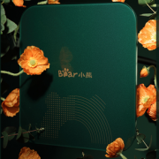 Bear 小熊 DZC-D18A1 家用精准体重电子秤