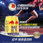 红牛 安奈吉运动型功能饮料 250ml*24罐