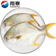 XIANGTAI 翔泰 国产海南金鲳鱼 500g*10件