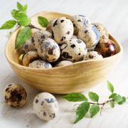 口感细嫩！RUIZHAN睿展 新鲜生鹌鹑蛋 35枚