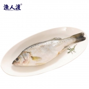 限1000件、16点：渔人渡 珠海特产 白蕉海鲈鱼 去鳞 600-700g/条