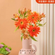 plus会员：花点时间  余音漫妙 普通款