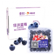 JOYVIO 佳沃 国产蓝莓 2A级 约125g*12盒