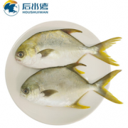 PLUS会员！金鲳鱼 2条 共700g