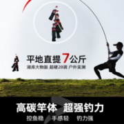 JeanPole 让保罗 2.7米黑鹰竞技版 5H强硬28调超轻硬台钓竿