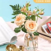 plus会员：花点时间  庄园秘境 普通款