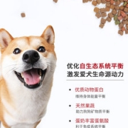 MYFOODIE 麦富迪 营养森林 全面营养小型犬犬粮 1.3kg