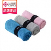 聚划算百亿补贴：洁丽雅 冷感运动毛巾 100*30CM
