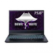 未来人类Terrans Force 魔鬼鱼DR522 15.6英寸 笔记本电脑 (i7-11800H 16G 512G PCIe SSD RTX 3060 144Hz)