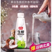 盼盼 正宗生榨椰子汁 500ml*15瓶 0色素0防腐剂0甜味剂