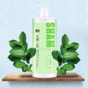 聚划算百亿补贴： 霸王 去屑止痒 香氛洗发水 480g