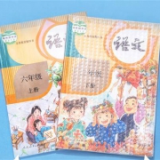 deli 得力 磨砂自粘包书膜 450*300mm *10张