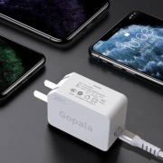 Gopala 单口PD 20W 充电器+2米快充线 苹果快充套装