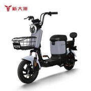PALLA 新大洲 TDT39Z 新国标电动车