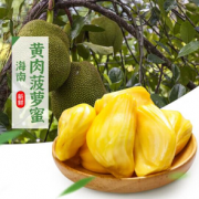 产地直发！享味观 海南黄肉菠萝蜜 26~30斤