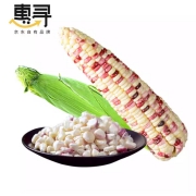 京东极速版：惠寻 湖北花玉米 2斤
