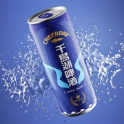 CHEERDAY千岛湖啤酒 真味啤酒 500ml*12罐