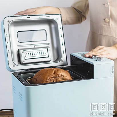 10大面包机排行榜